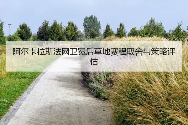 a-er-ka-la-si-fa-wang-wei-mian-hou-cao-di-sai-cheng-qu-she-yu-ce-lve-ping-gu-2-818.jpg